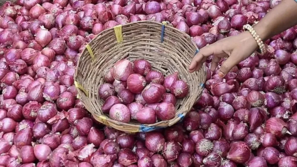 महाराष्ट्र के प्याज किसानों ने सरकार से लगाई गुहार, गिरती कीमतों से परेशान किसान बोले-शहर की तरह हमारी भी सुनिए!