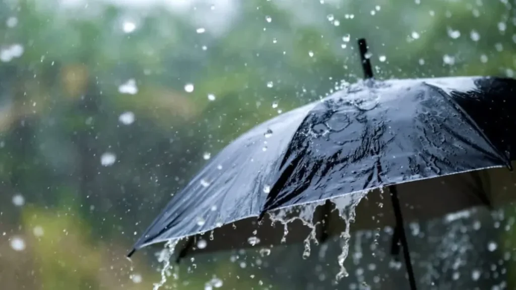 Weather Alert: देशभर में बारिश का बड़ा अलर्ट, यूपी-एमपी समेत कई राज्यों में भारी से अत्यंत भारी वर्षा की चेतावनी